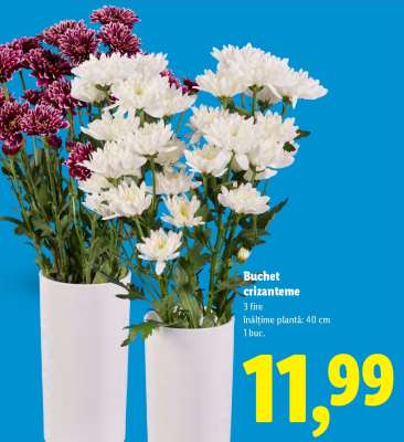 Buchet crizanteme