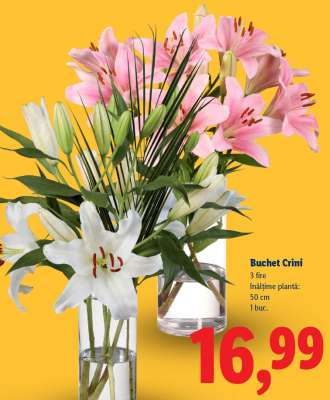 Buchet crini