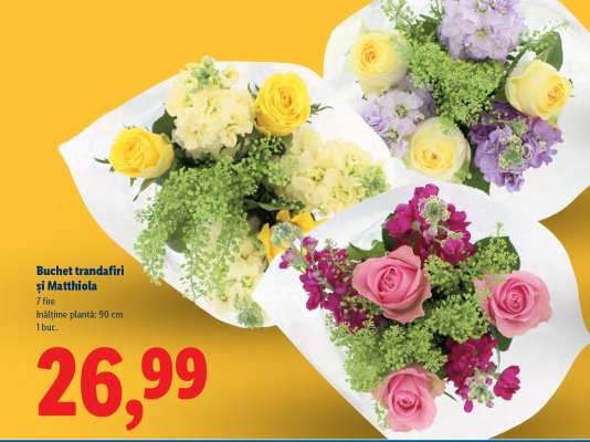 Buchet trandafiri și Matthiola