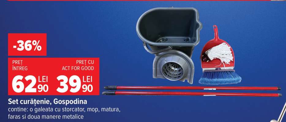 Set curățenie “Gospodina”
