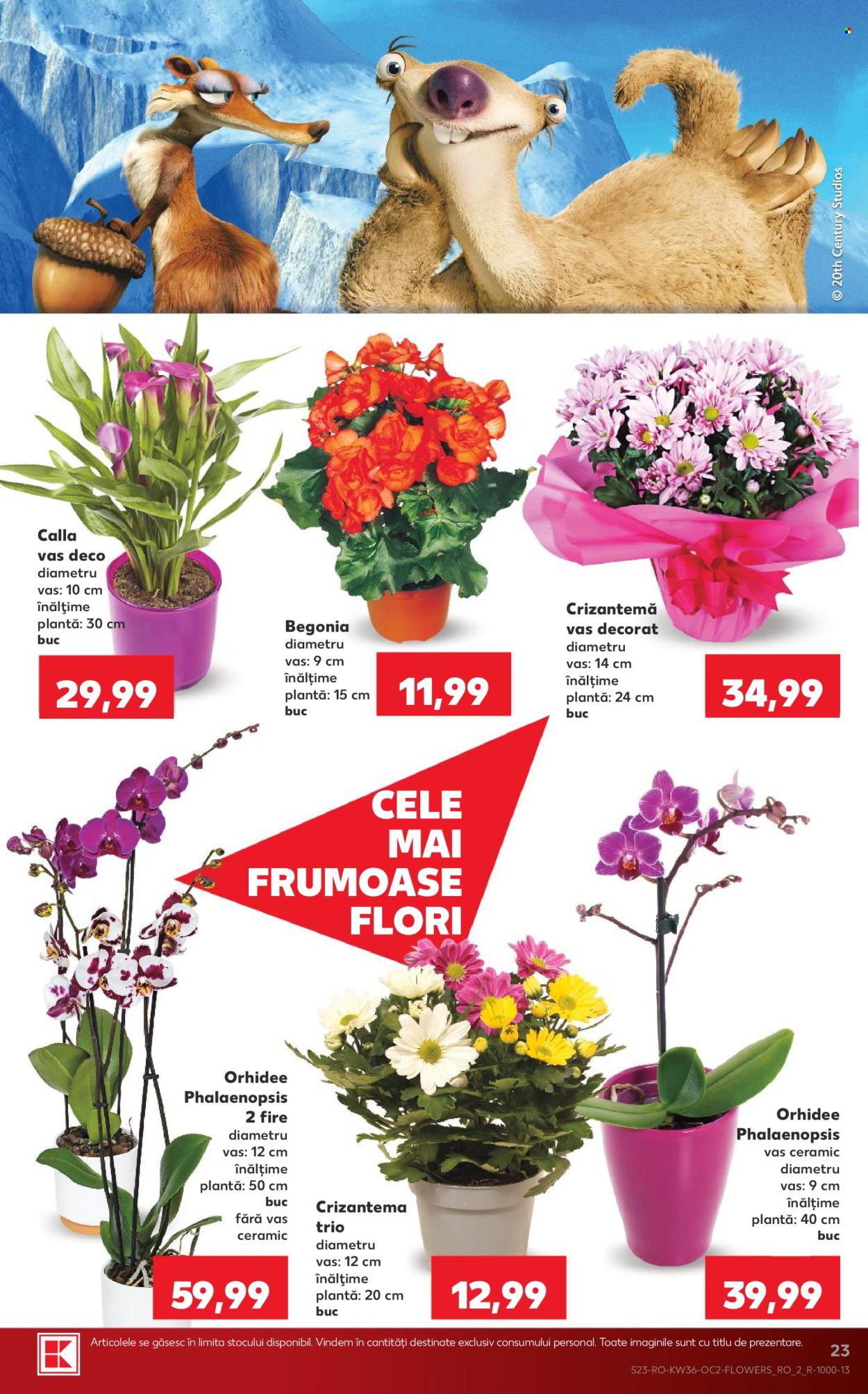 Catalog Kaufland - 02.09.2026 - 08.09.2026. Pagina 23
