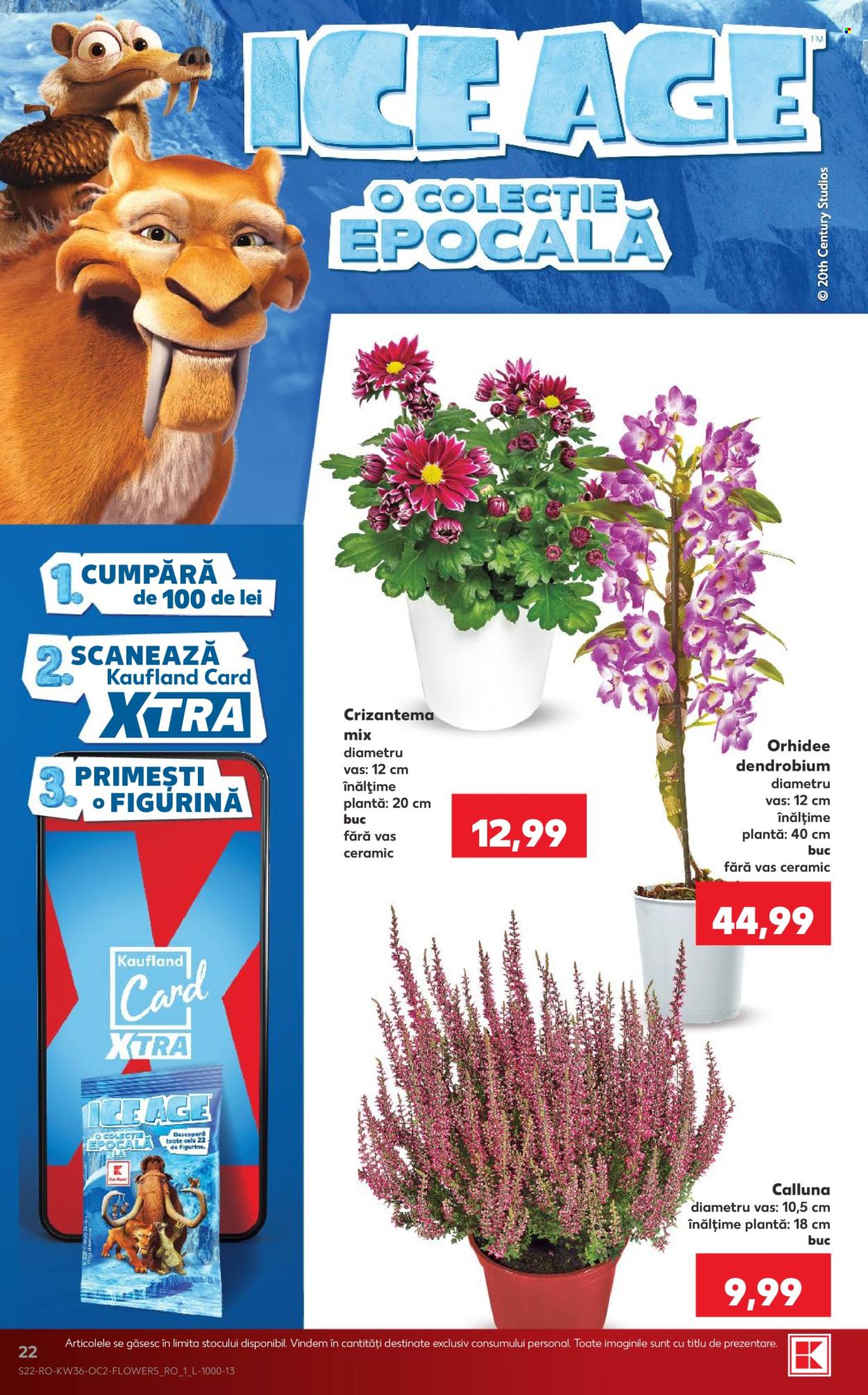 Catalog Kaufland - 02.09.2026 - 08.09.2026. Pagina 22