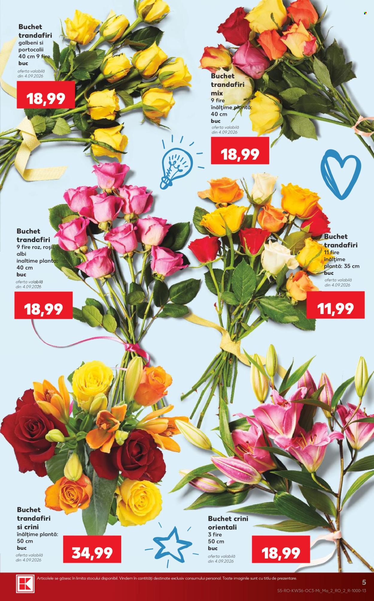 Catalog Kaufland - 02.09.2026 - 08.09.2026. Pagina 5