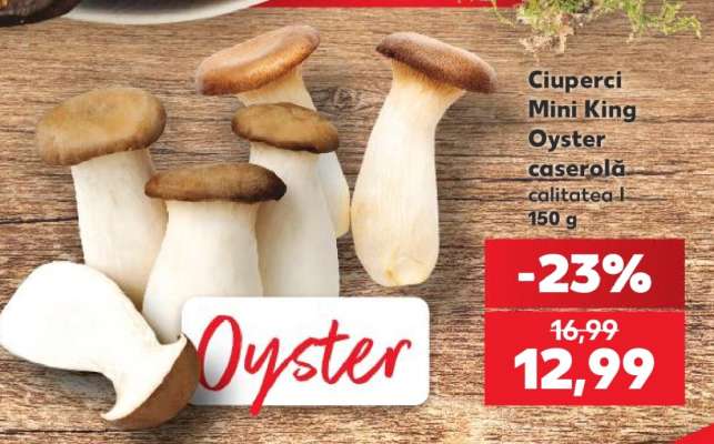 Ciuperci Mini King Oyster