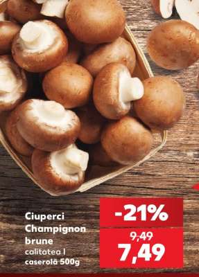 Ciuperci Champignon brune