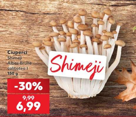 Ciuperci Shimeji
