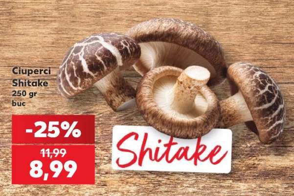 Ciuperci Shitake