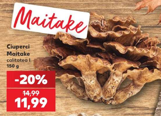 Ciuperci Maitake