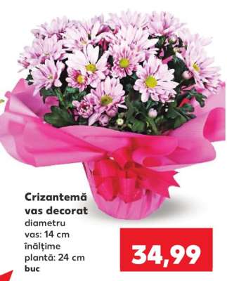 Crizantemă vas decorat