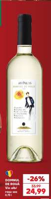 DOMNUL DE ROUĂ