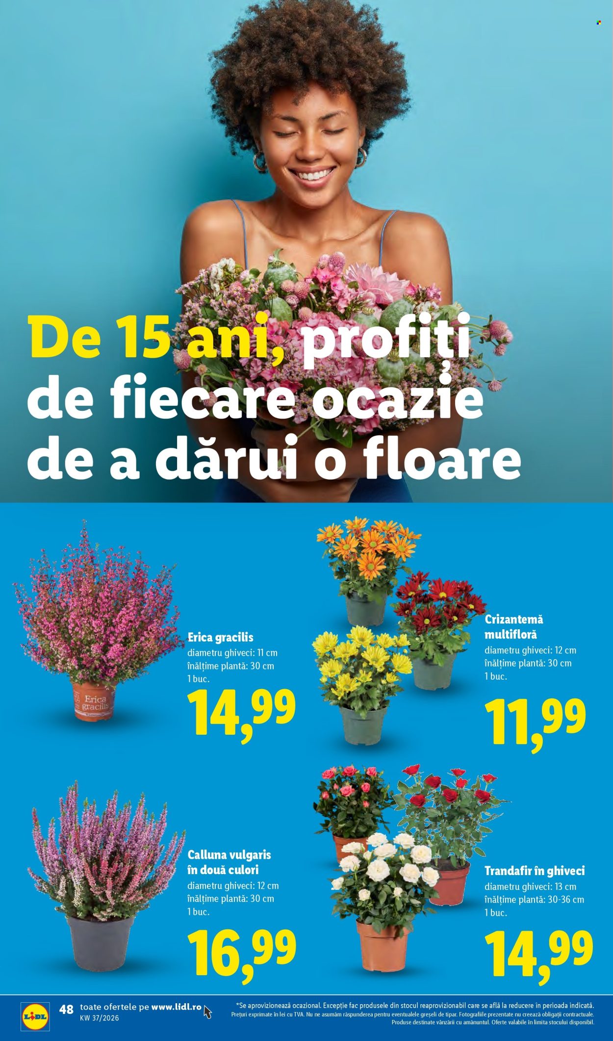Catalog Lidl - 07.09.2026 - 13.09.2026. Pagina 48