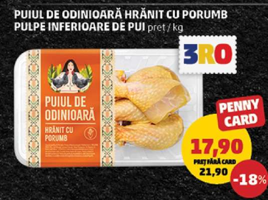 PUIUL DE ODINIOARĂ HRĂNIT CU PORUMB