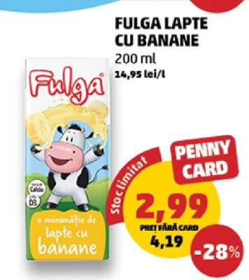 FULGA LAPTE CU BANANE