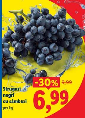 Struguri negri cu sâmburi