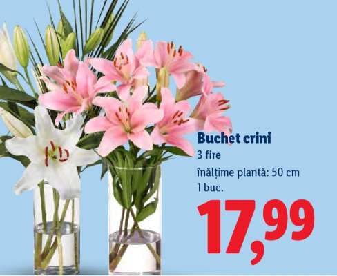 Buchet crini