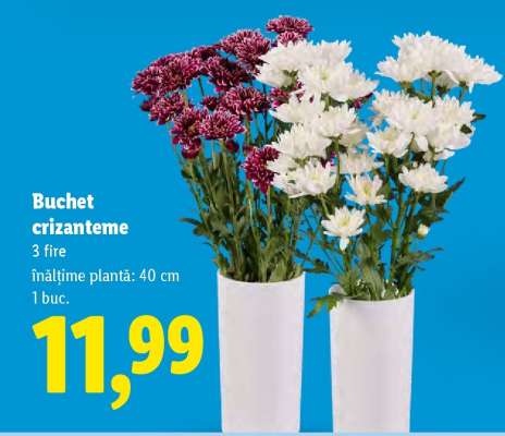 Buchet crizanteme