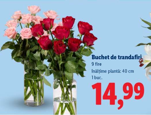 Buchet de trandafiri