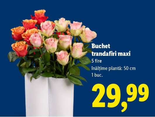 Buchet trandafiri maxi