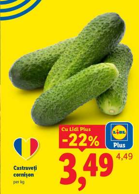 Castraveți cornișon