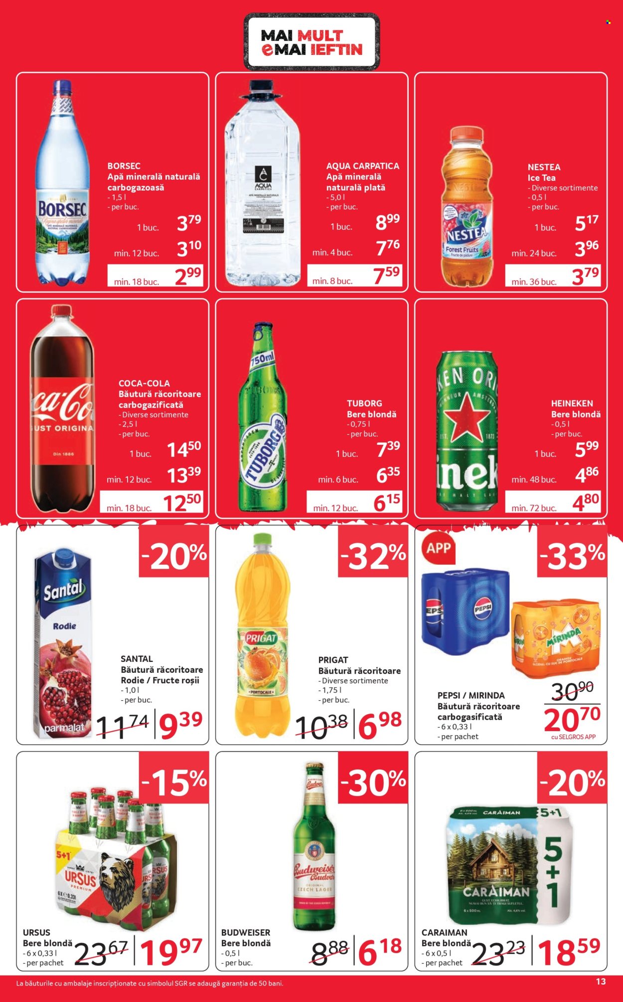 Catalog Selgros - 04.09.2026 - 17.09.2026. Pagina 13