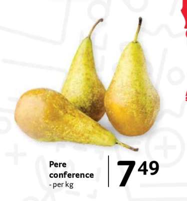Pere Conference