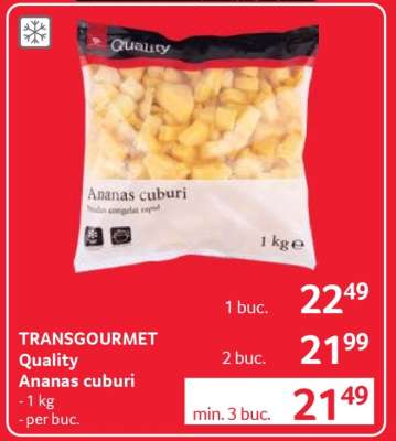 TRANSGOURMET Quality Ananas cuburi