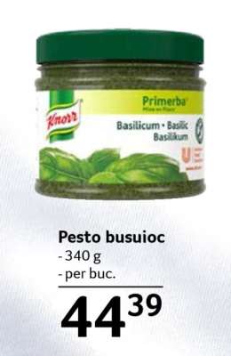 Pesto busuioc