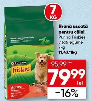 Purina Friskies vită & legume 7kg