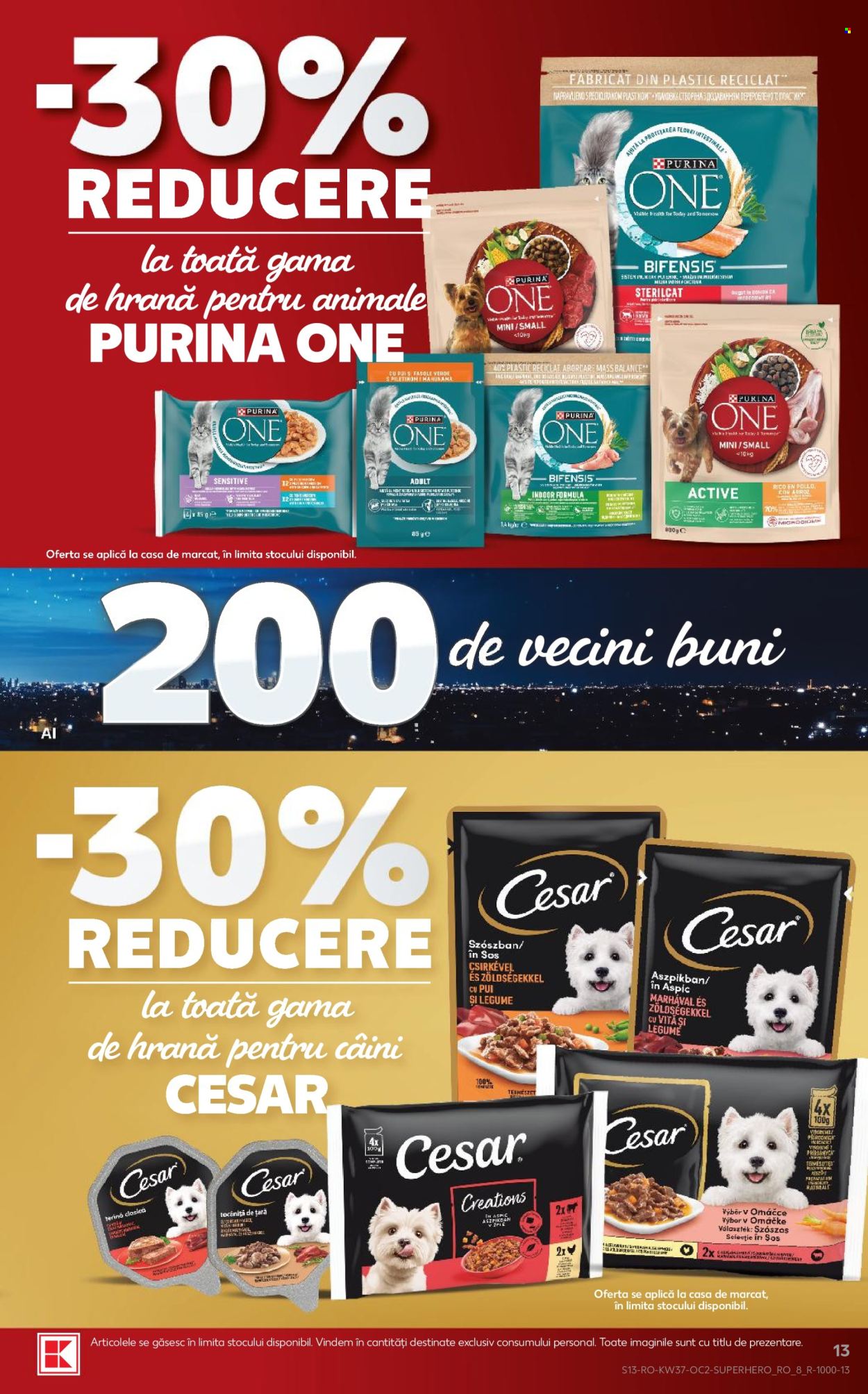Catalog Kaufland - 09.09.2026 - 15.09.2026. Pagina 13