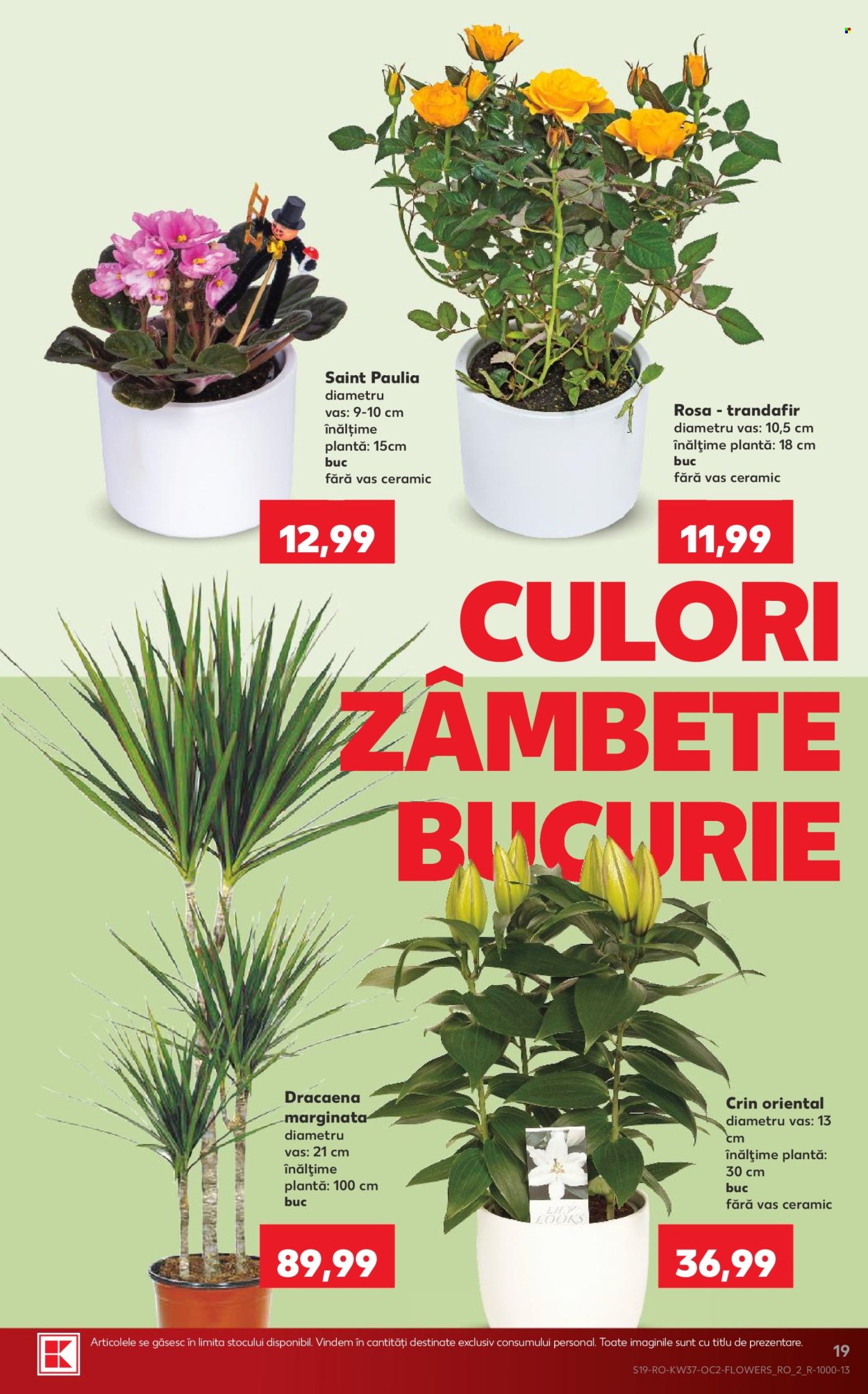 Catalog Kaufland - 09.09.2026 - 15.09.2026. Pagina 19