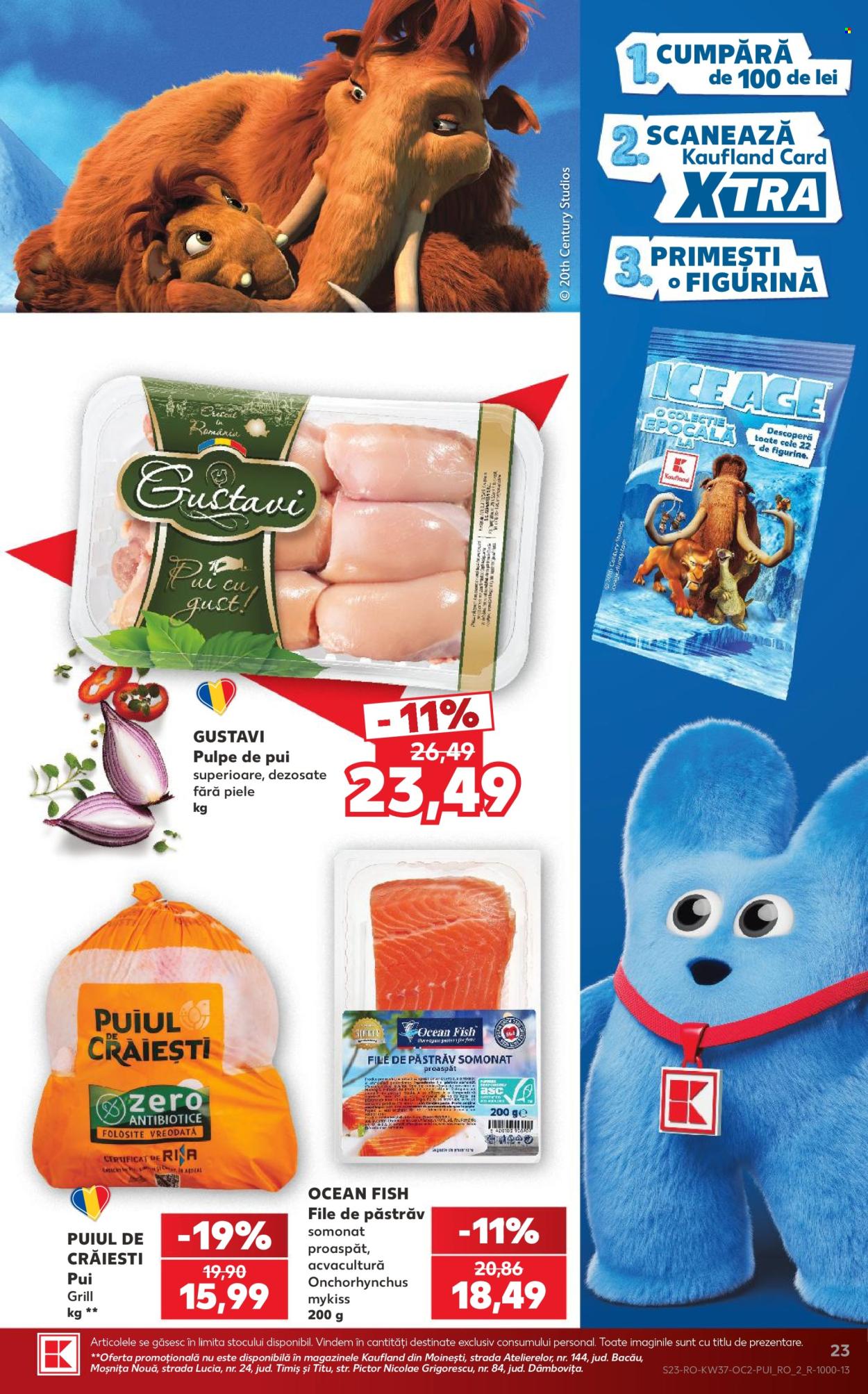 Catalog Kaufland - 09.09.2026 - 15.09.2026. Pagina 23