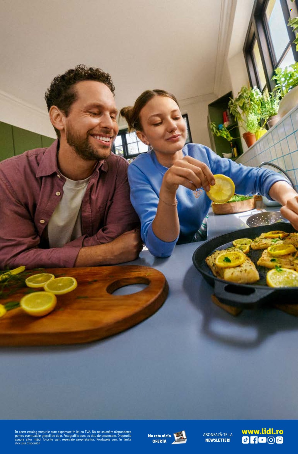 Catalog Lidl. Pagina 48