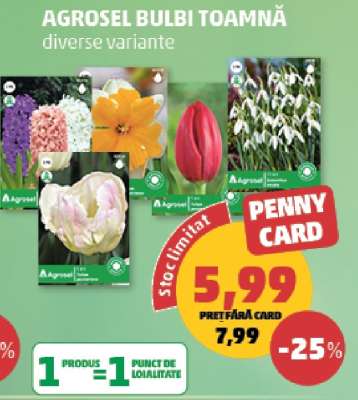 AGROSEL BULBI TOAMNĂ