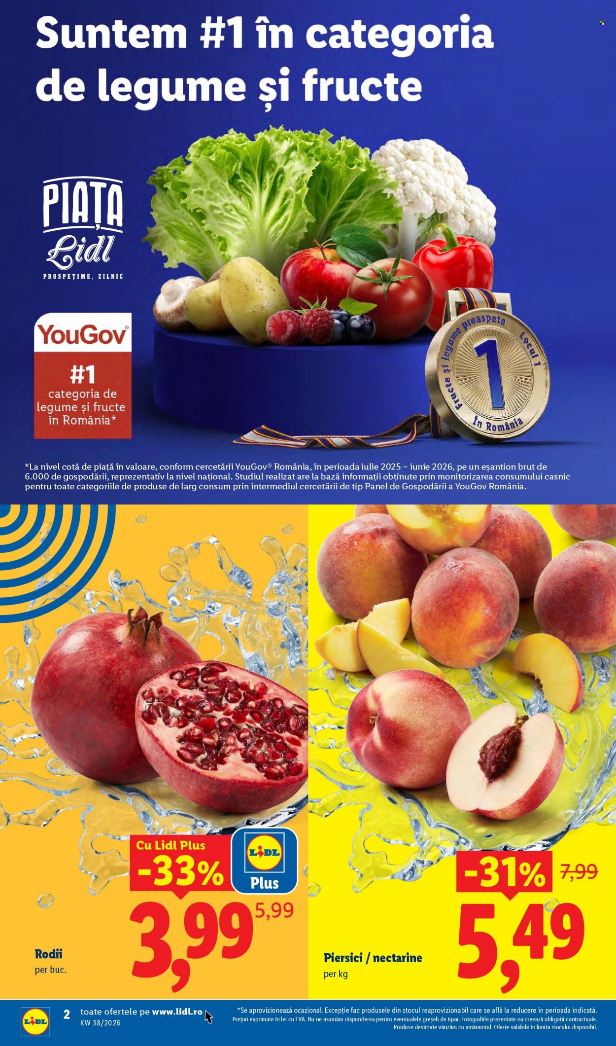 Catalog Lidl - 14.09.2026 - 20.09.2026. Pagina 2