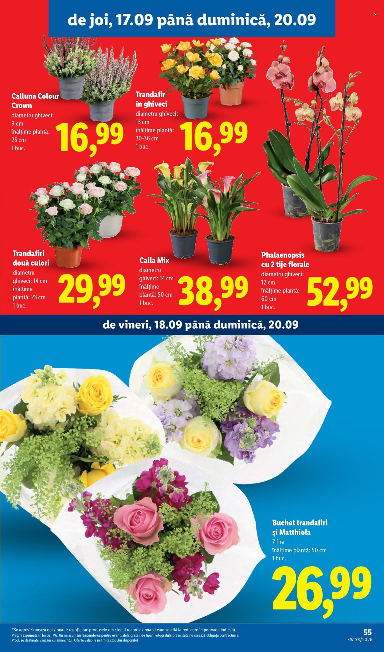 Catalog Lidl - 14.09.2026 - 20.09.2026. Pagina 55