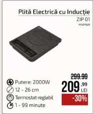 Plită Electrică cu Inducție ZIP 01