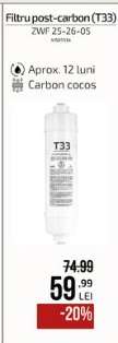 Filtru post-carbon (T33)