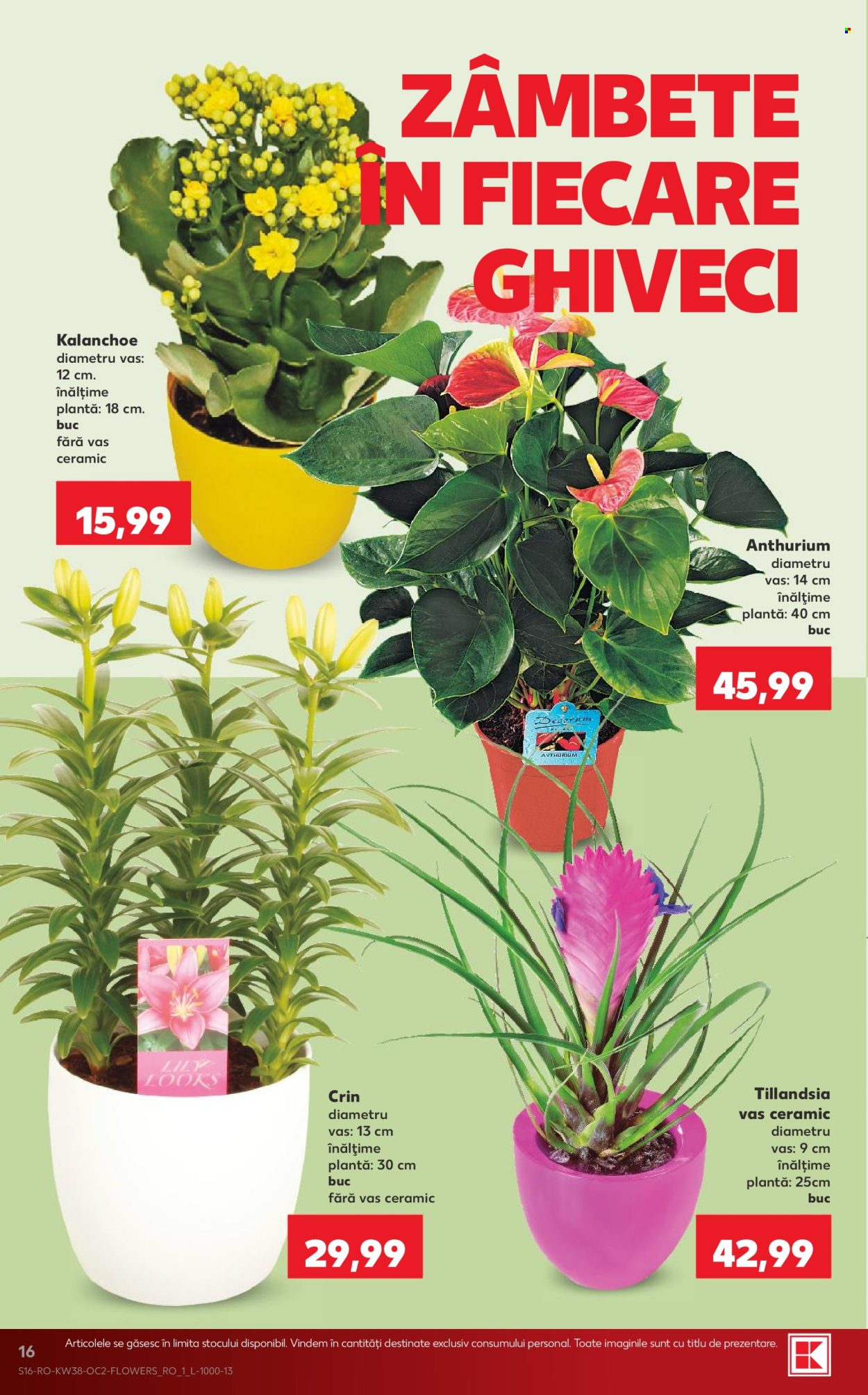 Catalog Kaufland - 16.09.2026 - 22.09.2026. Pagina 16
