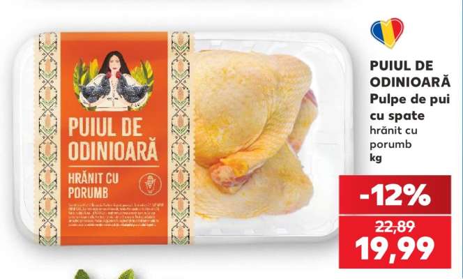 PUIUL DE ODINIOARĂ