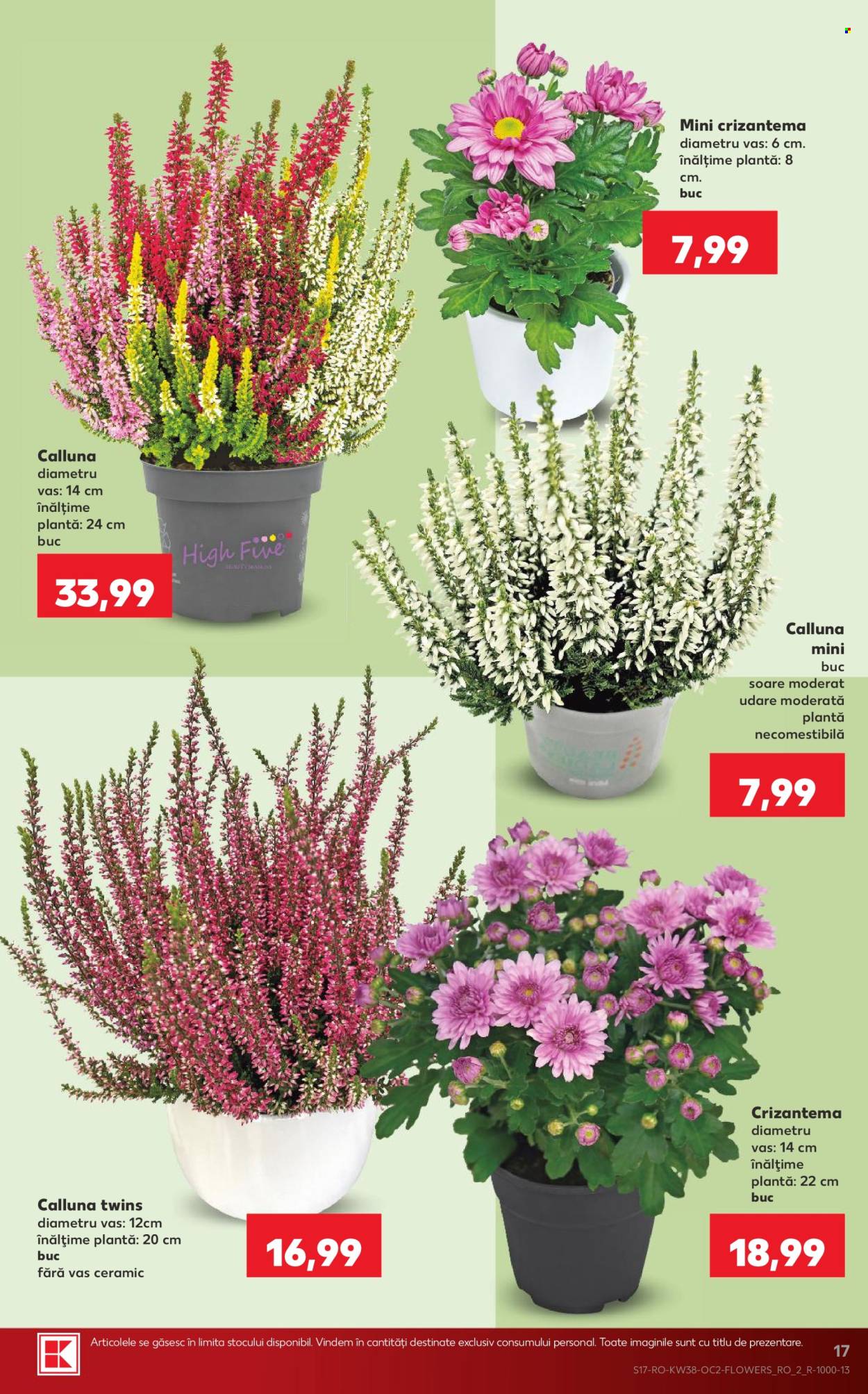 Catalog Kaufland - 16.09.2026 - 22.09.2026. Pagina 17