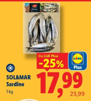 SOL&MAR Sardine