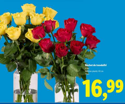 Buchet de trandafiri