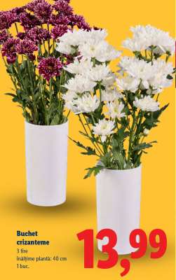 Buchet crizanteme
