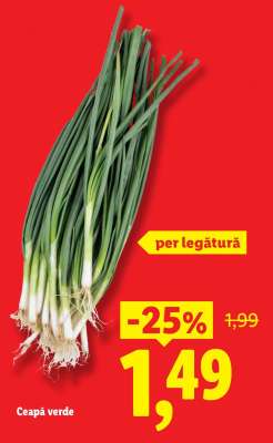Ceapă verde