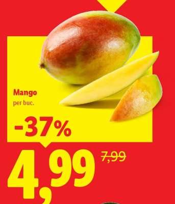Mango