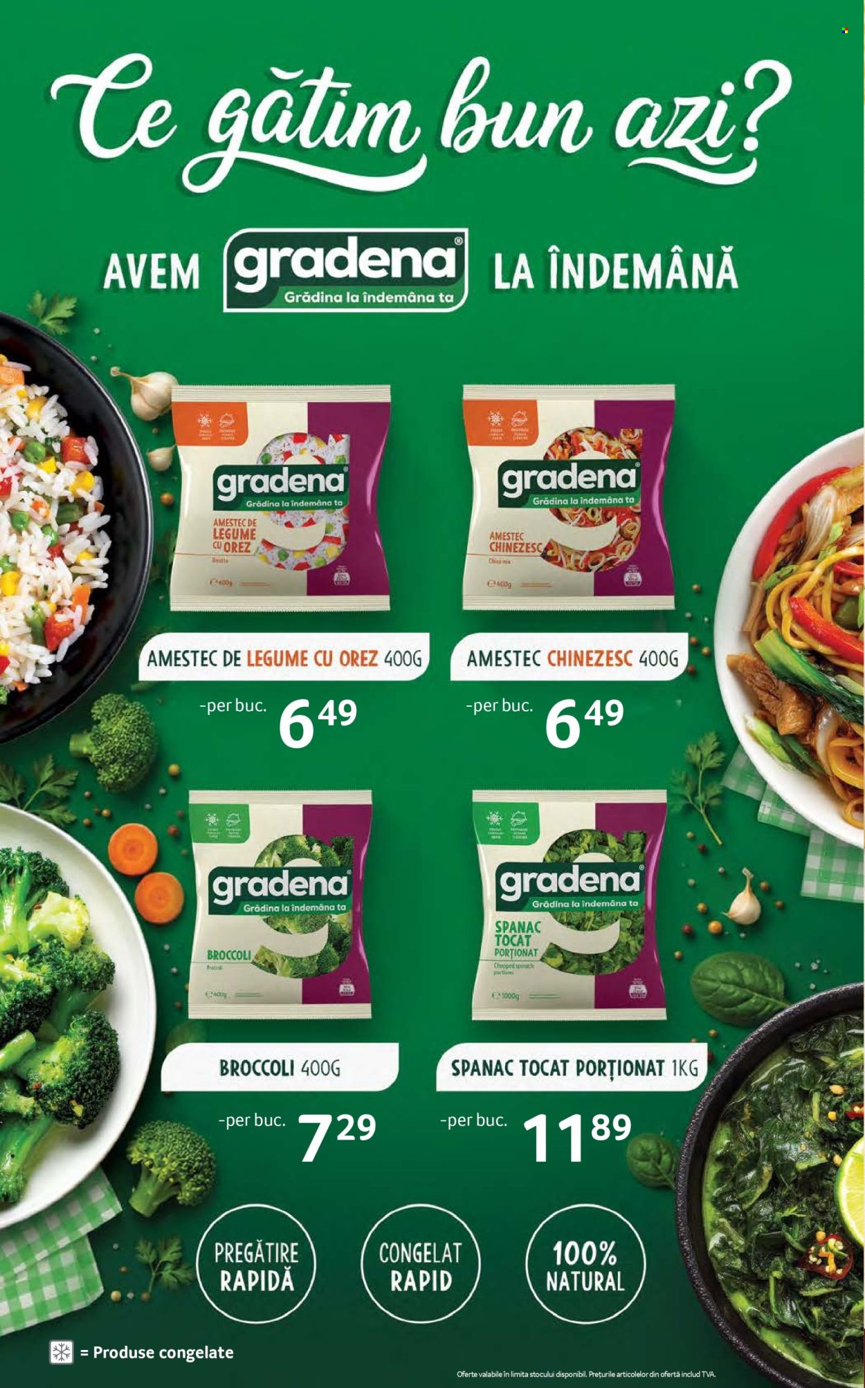 Catalog Selgros - 18.09.2026 - 01.10.2026. Pagina 6