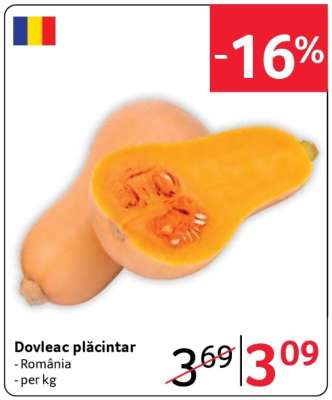 Dovleac plăcintar