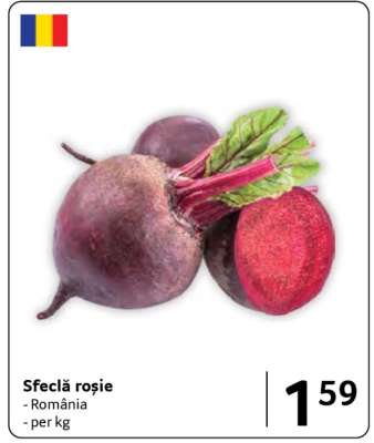 Sfeclă roşie