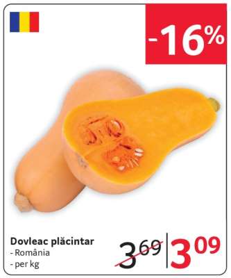 Dovleac plăcintar