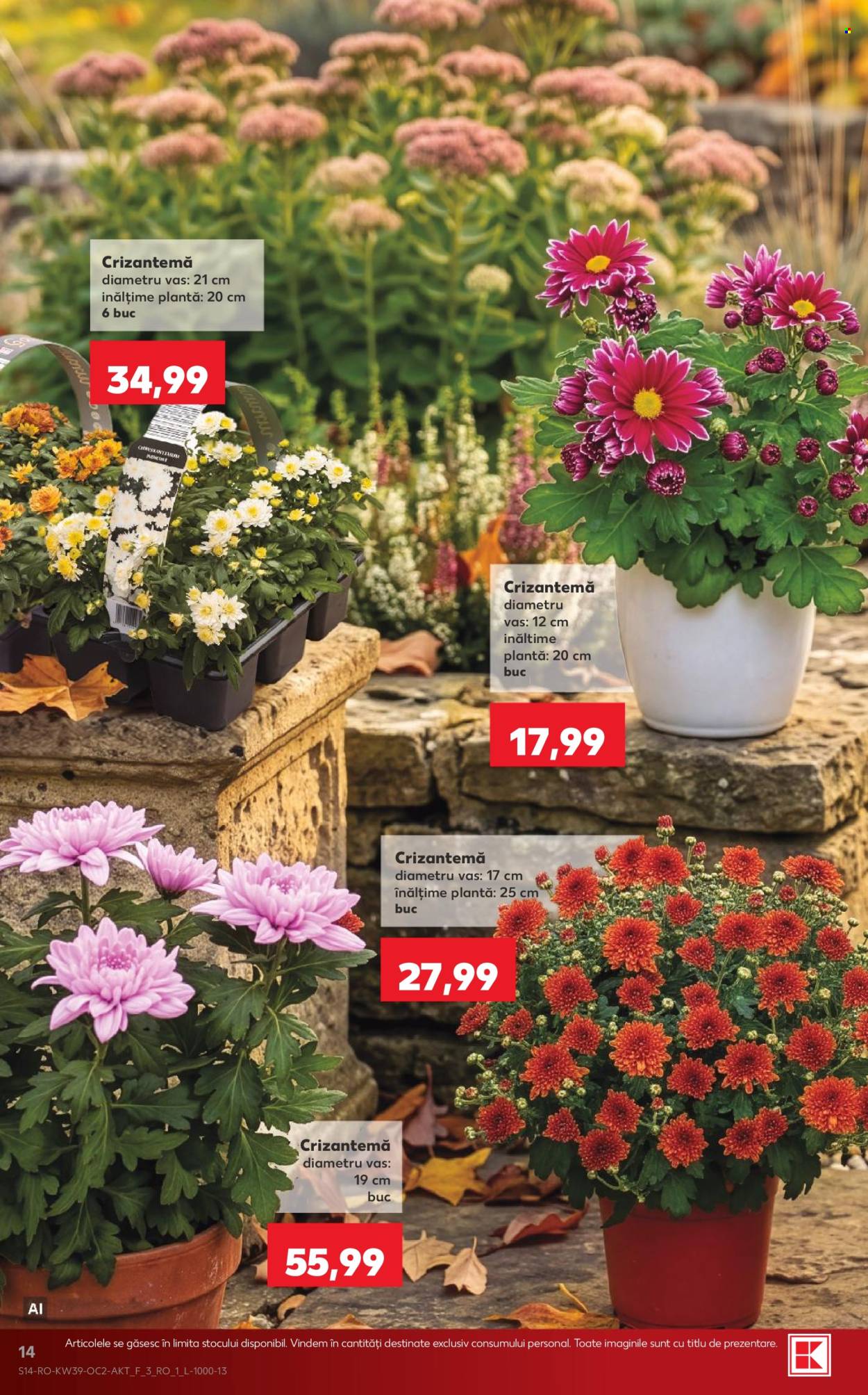 Catalog Kaufland - 23.09.2026 - 29.09.2026. Pagina 14
